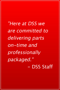 DSS Pledge